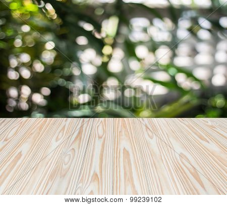 Wood Texture And Sunlight Bokeh