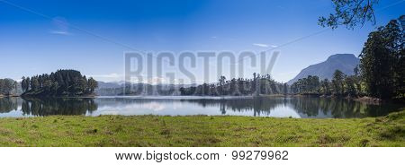 pang ung , reflection of pine tree in a lake