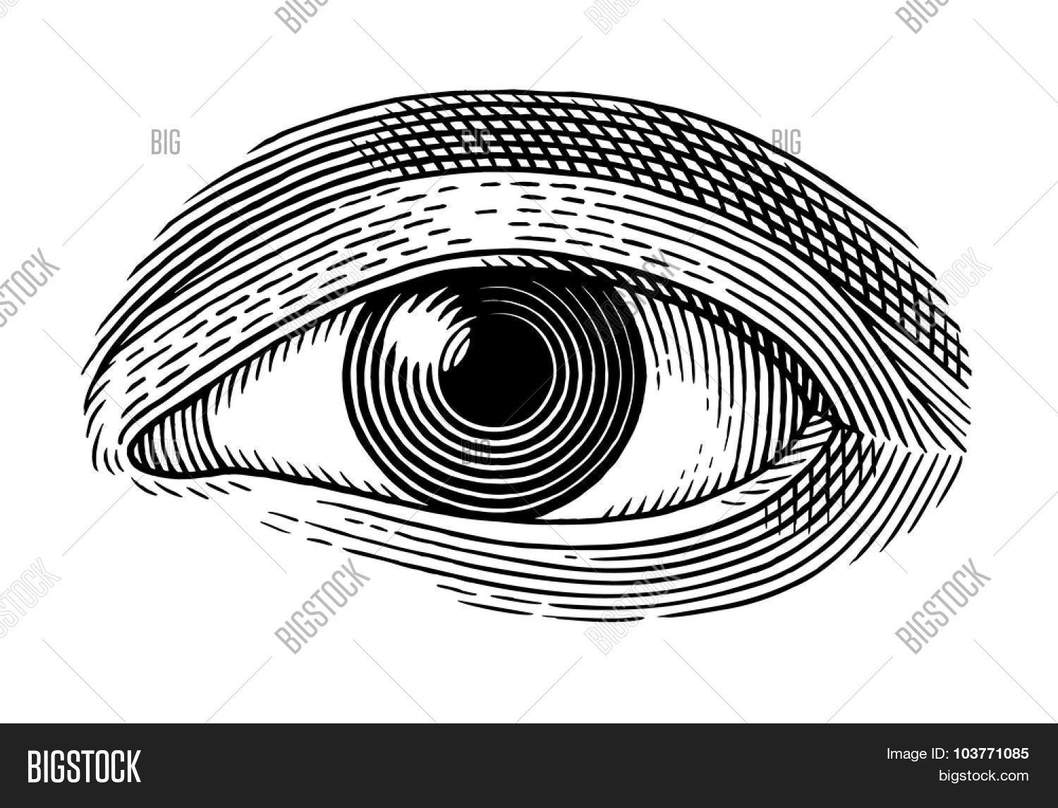 Eye Engraved Pattern Vector Illustration Vector & Photo (Free Trial) | Bigstock