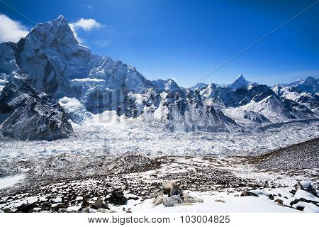 Sagarmatha National Park, Nepal Himalaya