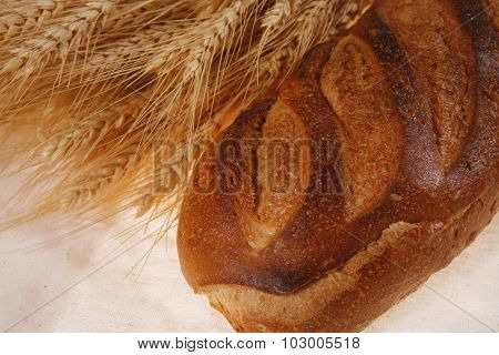 bunch of mown wheat ears with vintage handmade reaper hook sickle and rye dark white french fresh bread loaf on light linen tablecloth