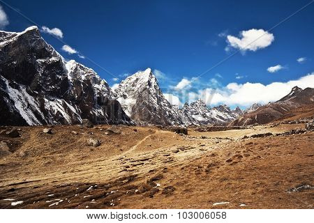 Sagarmatha National Park, Everest Region, Nepal