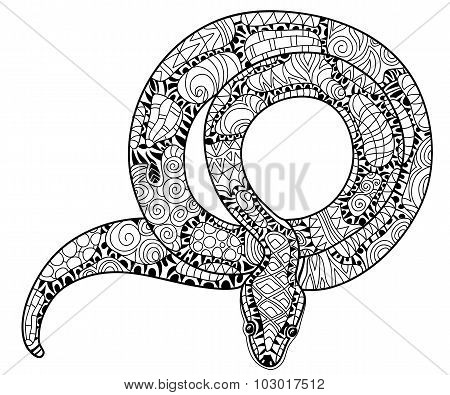Hand drawn doodle outline anaconda.
