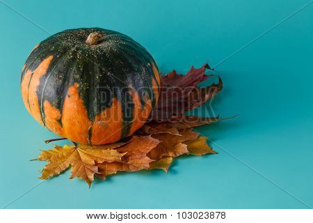 Colored Pumpkin