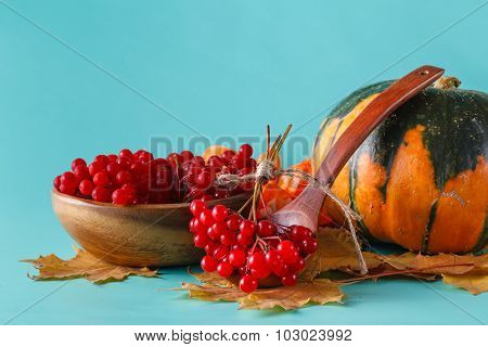 Fall Harvest On Aquamarine Shadowless Background