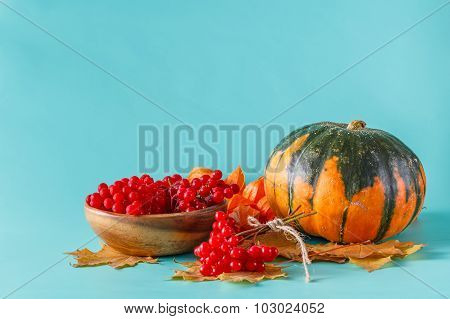 Fall Harvest On Aquamarine Shadowless Background