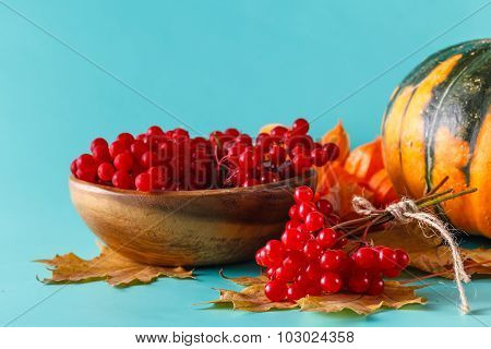 Fall Harvest On Aquamarine Shadowless Background