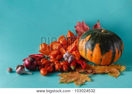 Colored Pumpkin Shadowless Background