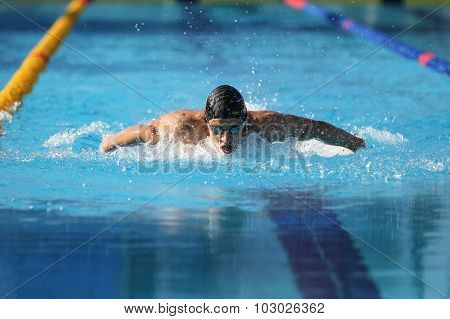 Turkish Swimming Championship