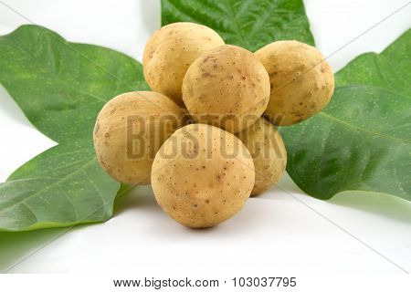 Longong Isolated On White Background