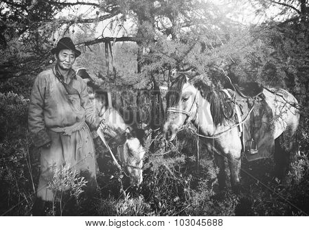 Mongolian Tsataan Horses Tranquil Solitude Nomadic Concept