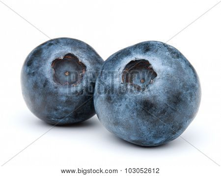 blueberry or bilberry or blackberry or blue whortleberry or huckleberry isolated on white background cutout