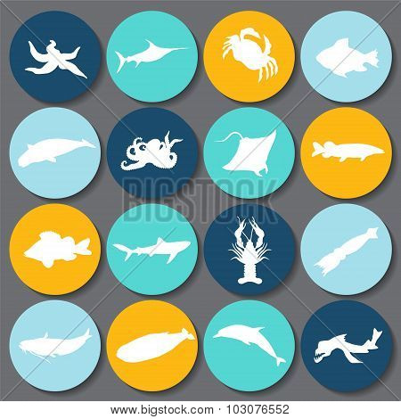 Set Of Fish Silhouette Icon. Stock Vector