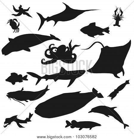 Set Of Fish Silhouette Icon. Stock Vector
