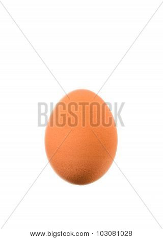 Close up of chicken egg on white background