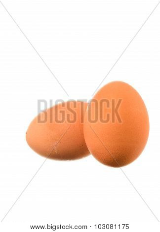Close up of chicken egg on white background