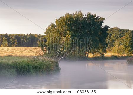August Morning on the river Svisloch, Belarus