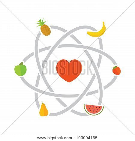 Fruits scheme vector illustration