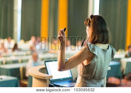 Business woman making business presentation.