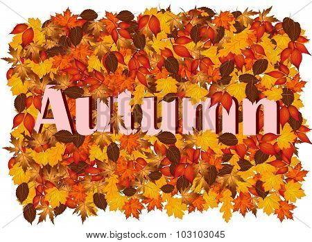 Word Autumn In Autumn Leaves.