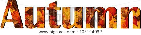 Word autumn with autumn leaves