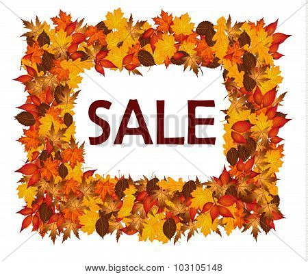 Frame Of Autumn Leaves With Sale.