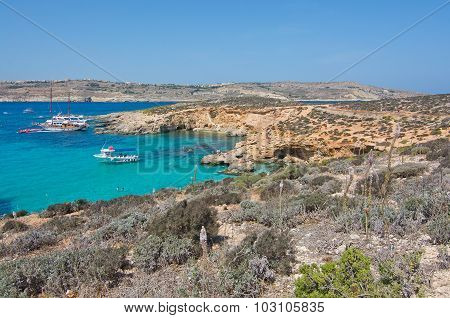 Blue Lagoon