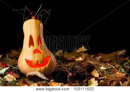 Smiling Pumpkin Halloween With Spider