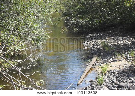 Stream off Wanapitei River