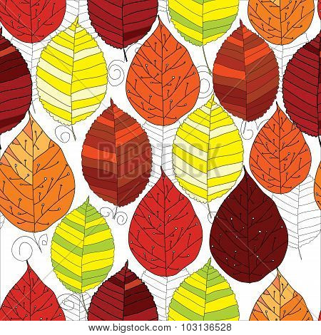 seamless pattern autumn  leaf