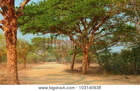 Road In Myanmar Birma Bagan