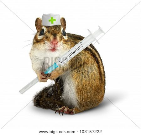 Vet Concept, Funny Squirrel With Syringe And Doctor Hat
