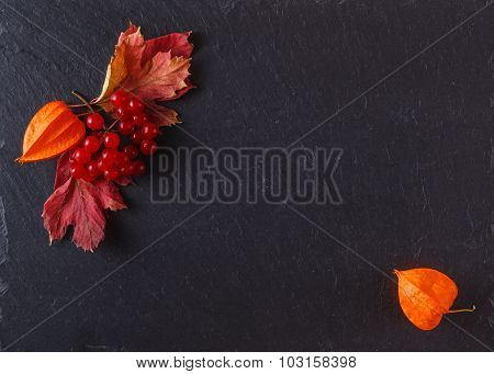 Red Viburnum On Black Slate Background With Message Menu