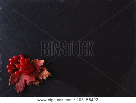 Red Viburnum On Black Slate Background With Message Menu