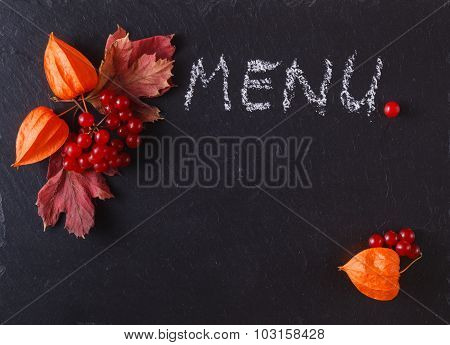 Red Viburnum On Black Slate Background With Message Menu