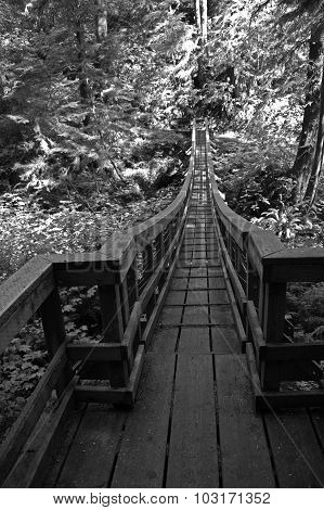 wooden bridge in forest