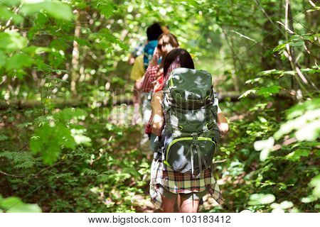 adventure, travel, tourism, hike and people concept - close up of friends walking with backpacks in woods from back