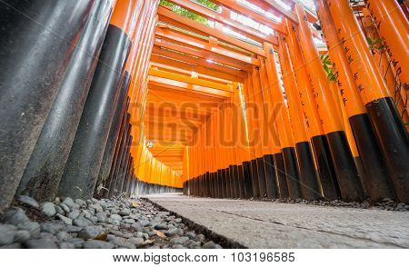 Worms eye view of Torii gates in Fushimi Inari Shrine