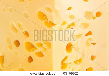 Texture Of The Cheese