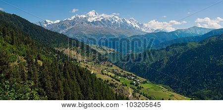 Summer Mountain Landscape