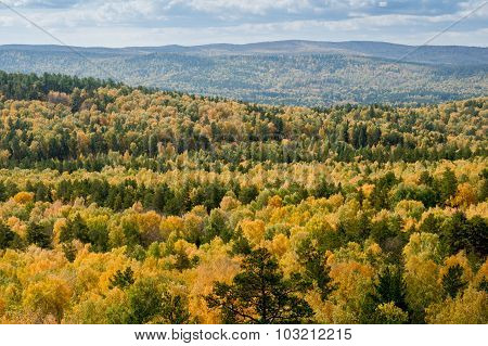 Autumn Forest On The Lake Arakul