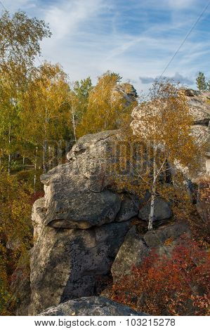 Autumn Forest On The Lake Arakul