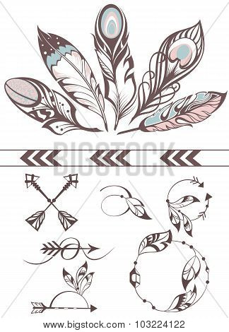 Collection of feathers