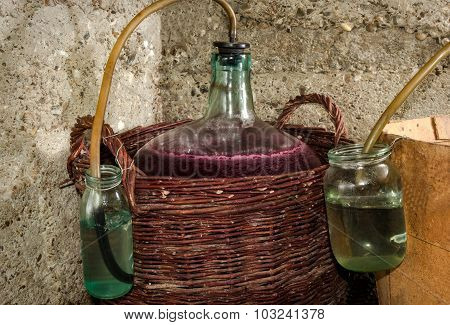 Wine Fermentation Process In Wine Carboys