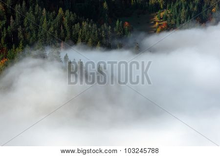 Autumn Landscape