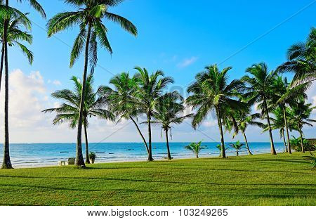 Beach Diani
