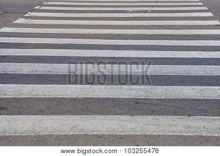 White Pedestrian Crossing On Asphalt In Krivoy Rog