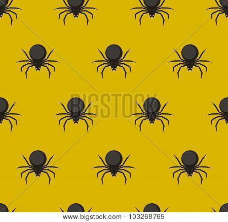 Spiders pattern.