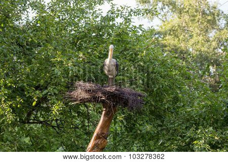 Figure Of Stork In Nest On Background Of Apple Trees