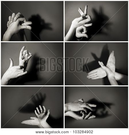 Hands gesture like different  animals and figures on gray background